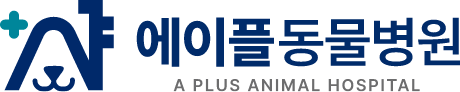 에이플동물병원